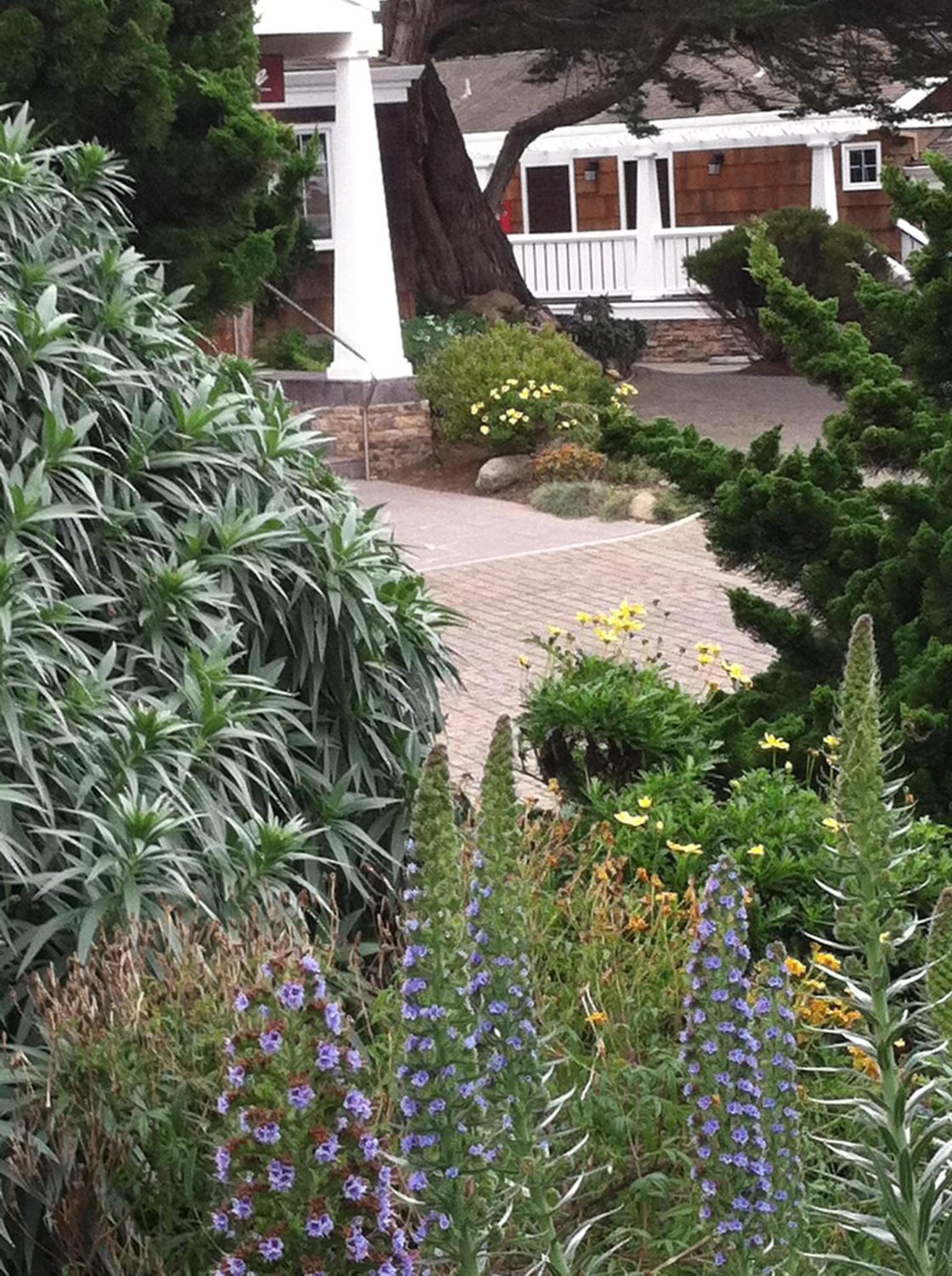 Lighthouse Lodge & Cottages Pacific Grove Exteriör bild