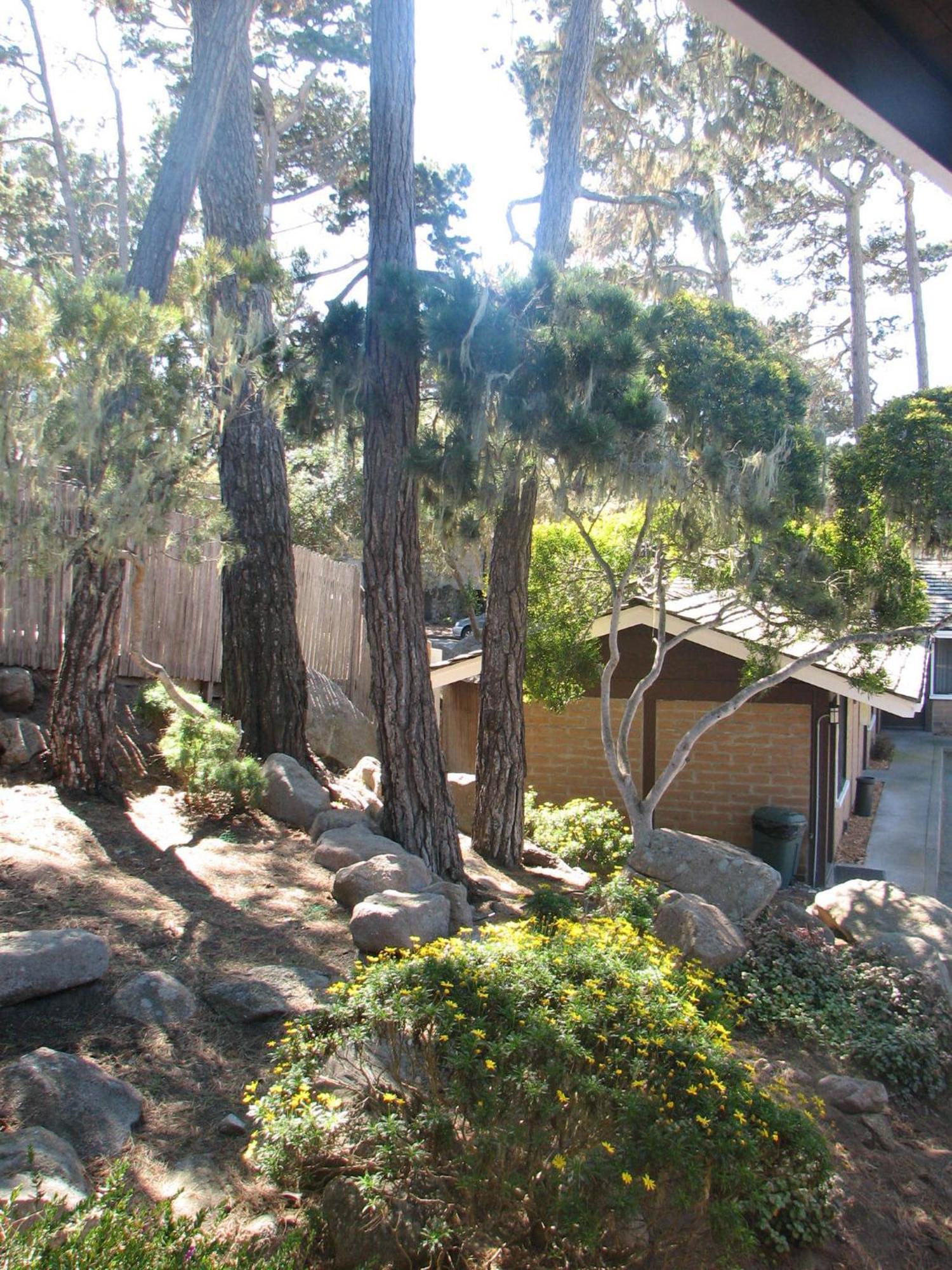 Lighthouse Lodge & Cottages Pacific Grove Exteriör bild