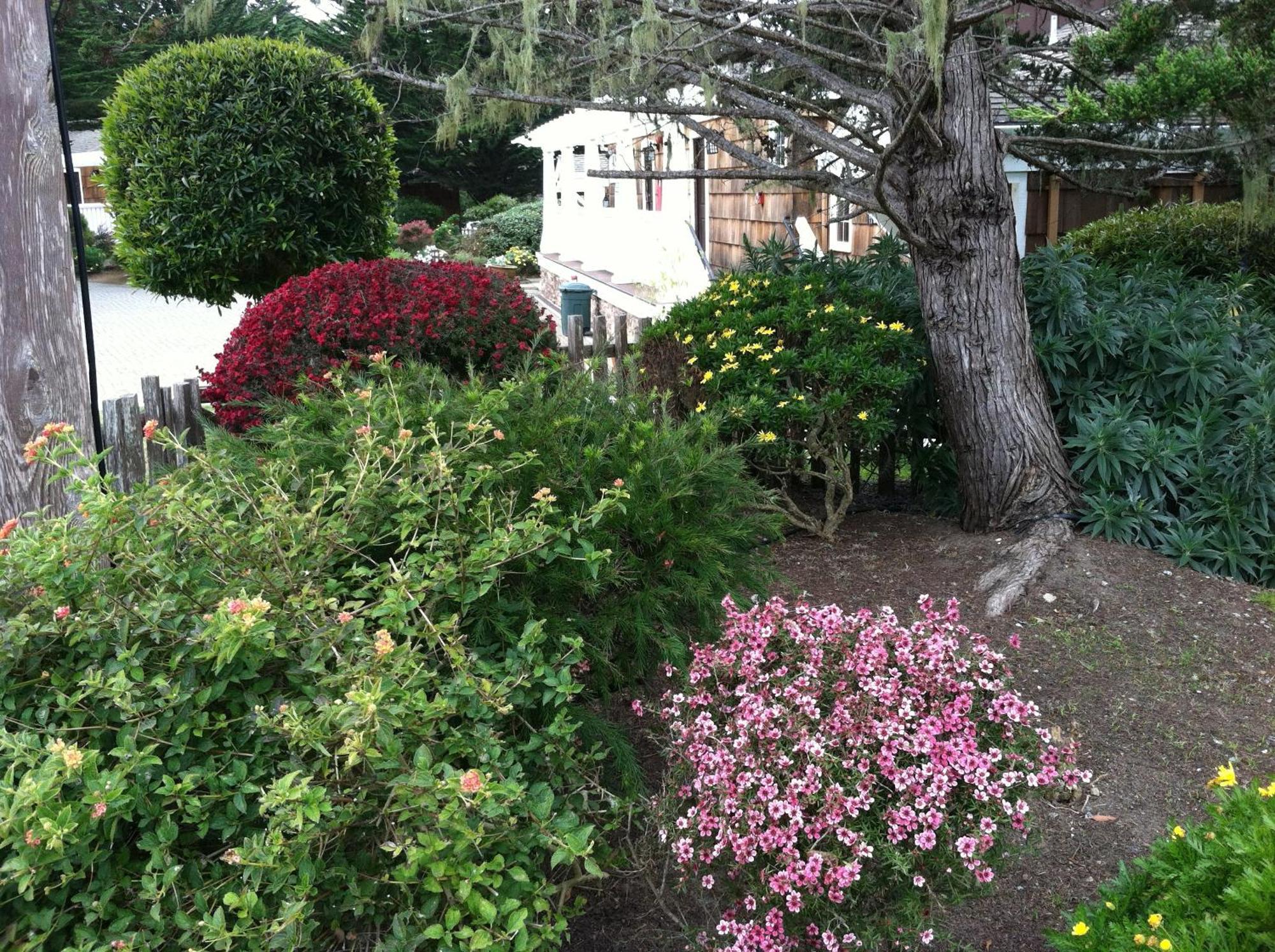 Lighthouse Lodge & Cottages Pacific Grove Exteriör bild